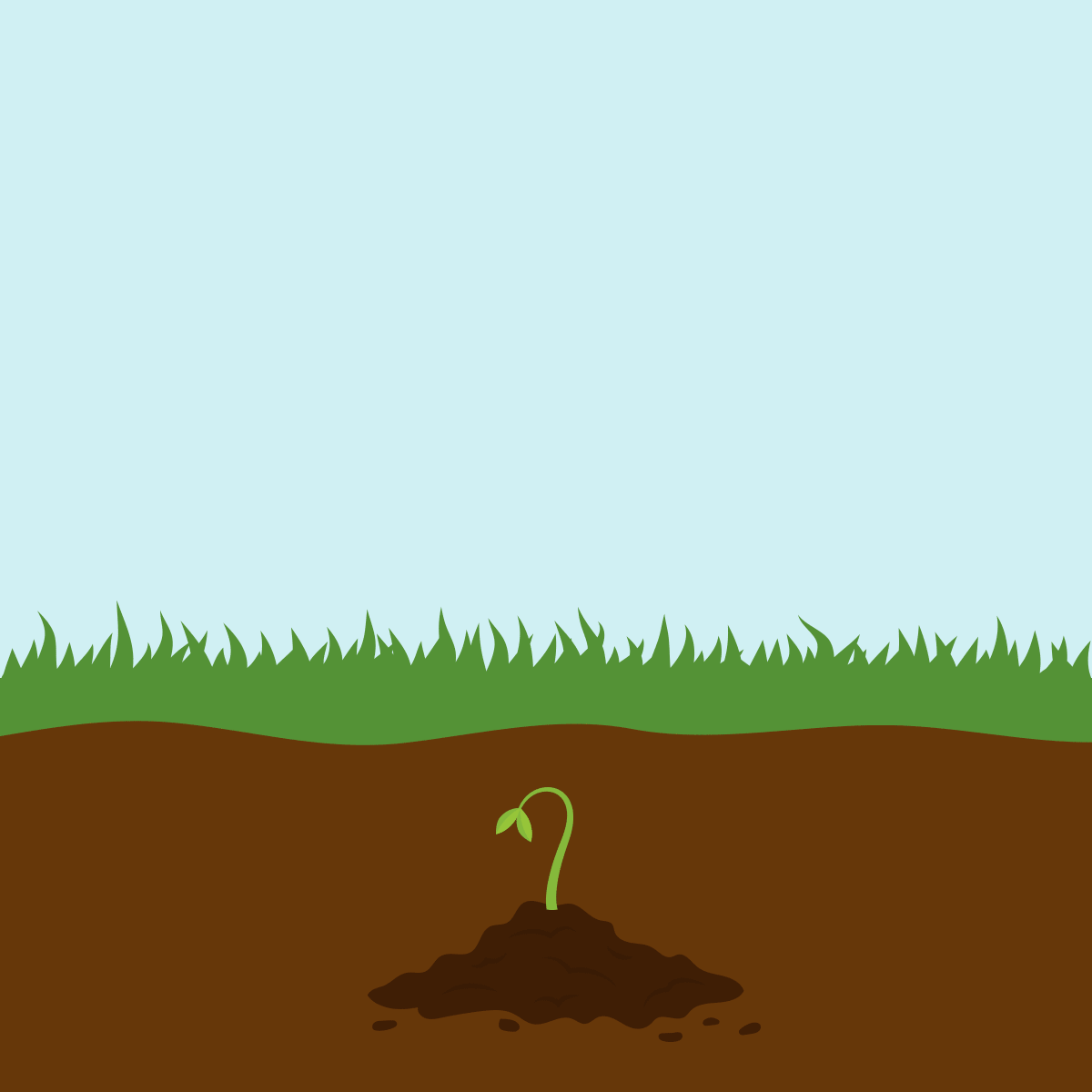 Growing Crops Animation