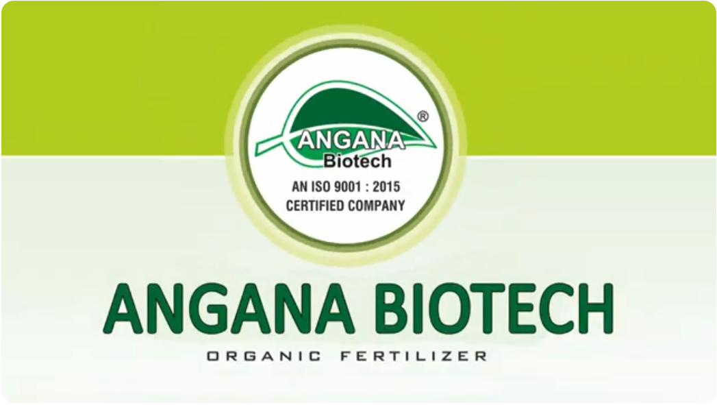 Company Information Video